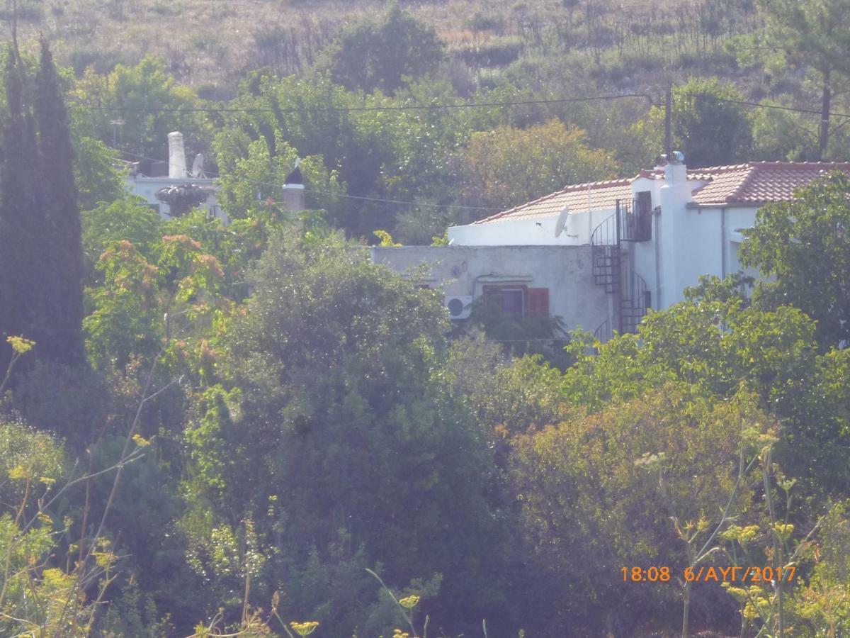 Kalapo Apartment Tseratsiá Dış mekan fotoğraf